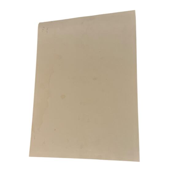 Vintage Wildlife Print Buffalo on the Move Bison Herd Western Americana Art READ - Picture 4 of 9